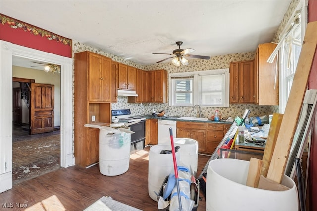 kitchen featuring ceiling fan, sink, dishwasher, dark hardwood / wood-style floors, and electric stove