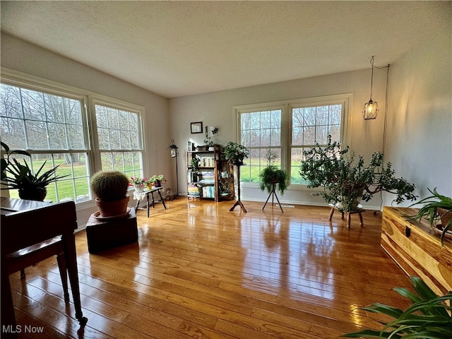 living area featuring wood-type flooring, a textured ceiling, and a wealth of natural light