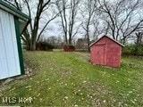 view of yard with a storage shed