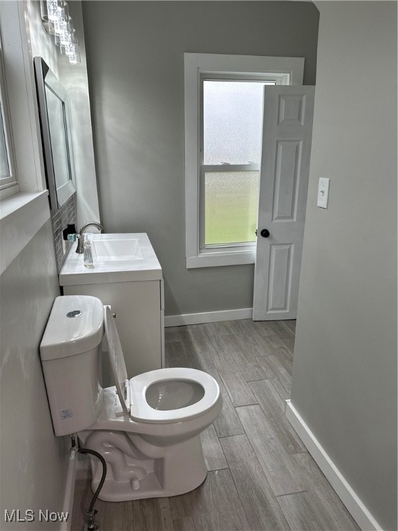 bathroom featuring hardwood / wood-style floors, vanity, and toilet