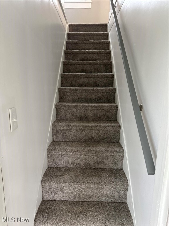 staircase with carpet floors