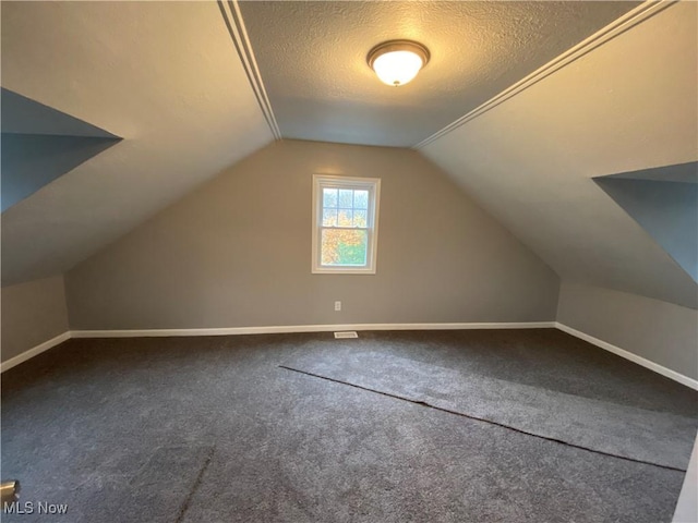 additional living space featuring lofted ceiling, carpet floors, and a textured ceiling