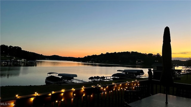 property view of water featuring a boat dock