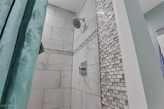 interior details with a shower with curtain