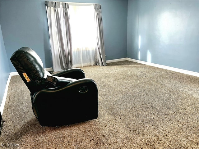 living area featuring carpet floors