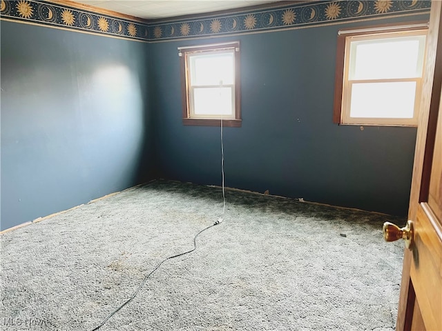 unfurnished room with carpet