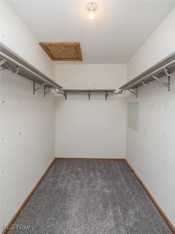 walk in closet with dark colored carpet and electric panel