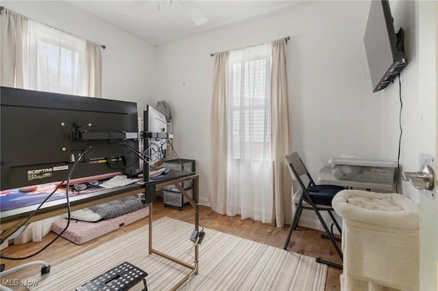 office featuring ceiling fan and wood-type flooring