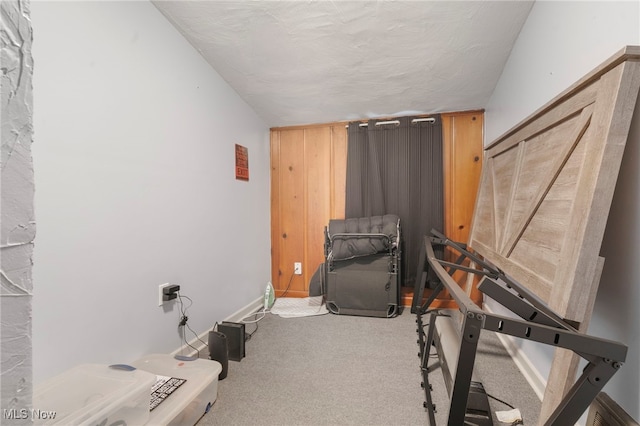 exercise room featuring light carpet and a textured ceiling