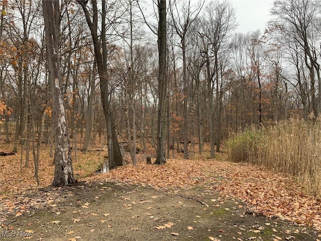 view of landscape