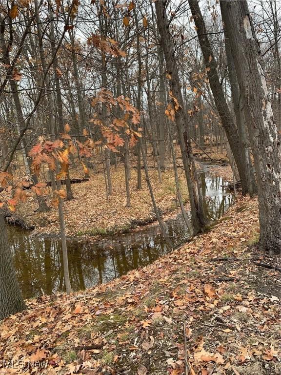 view of local wilderness