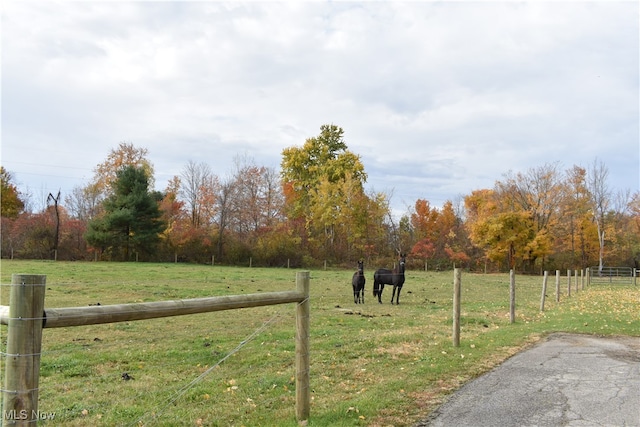 view of yard with a rural view