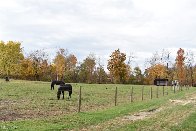 view of yard featuring a rural view