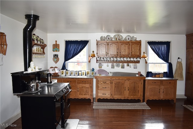 kitchen with dark wood-type flooring and a healthy amount of sunlight