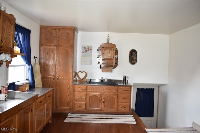 kitchen with dark hardwood / wood-style flooring and sink