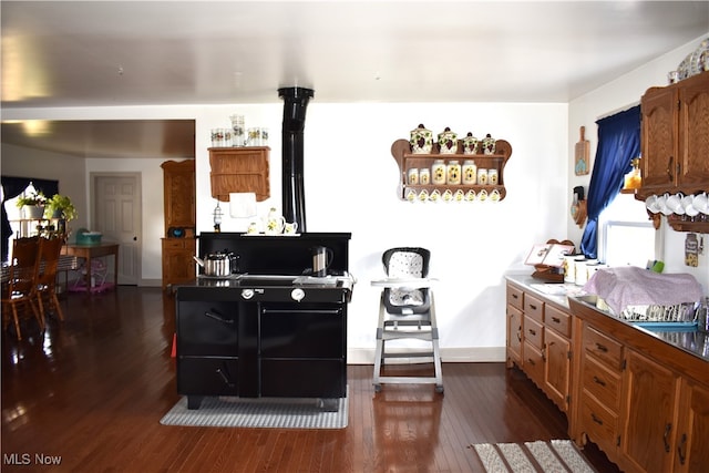 kitchen featuring dark wood-type flooring