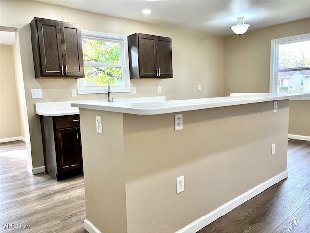 kitchen featuring plenty of natural light, dark brown cabinets, and light wood-type flooring