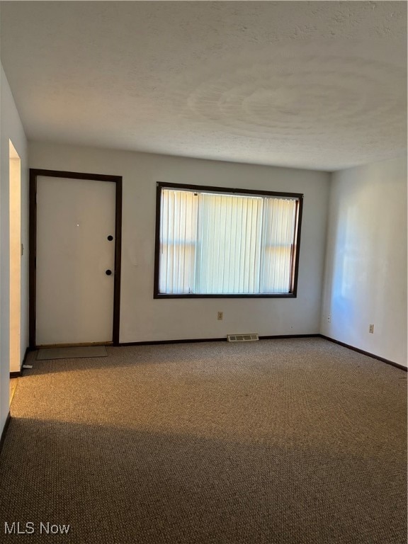 empty room featuring light carpet, a textured ceiling, and plenty of natural light