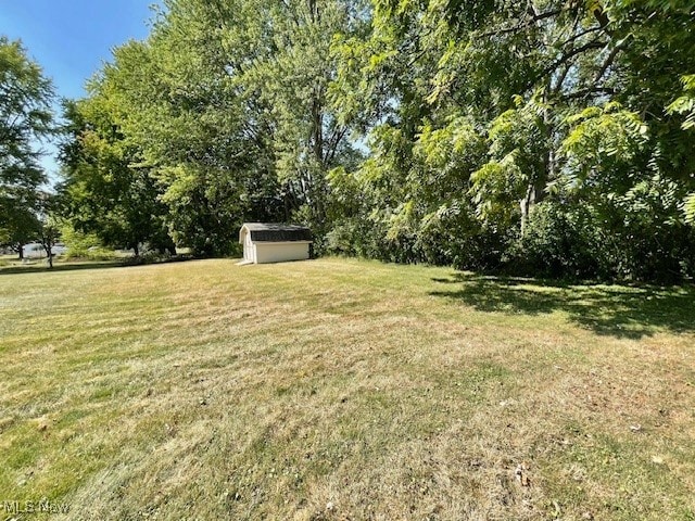 view of yard featuring a storage shed