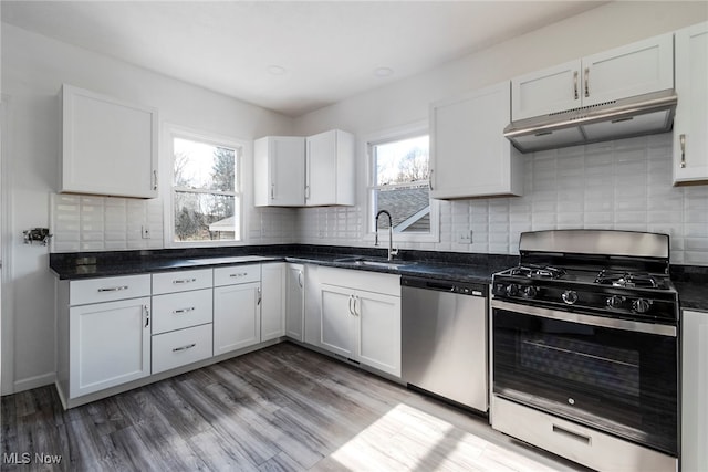 kitchen with appliances with stainless steel finishes, white cabinetry, and a healthy amount of sunlight