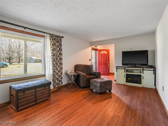 living room with hardwood / wood-style flooring and a textured ceiling