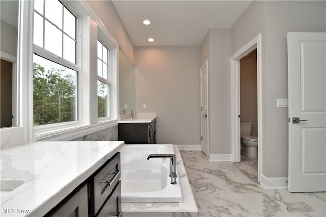 bathroom featuring a bath, vanity, and toilet