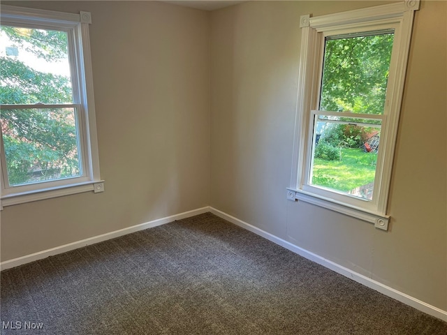 carpeted spare room with plenty of natural light