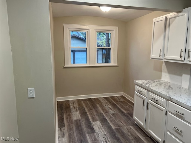 clothes washing area featuring dark wood-type flooring