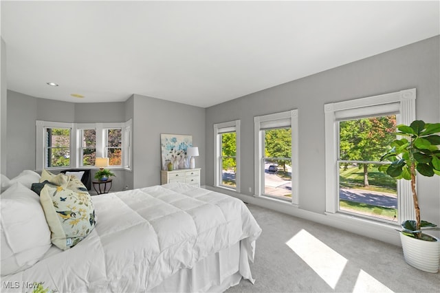 carpeted bedroom with multiple windows