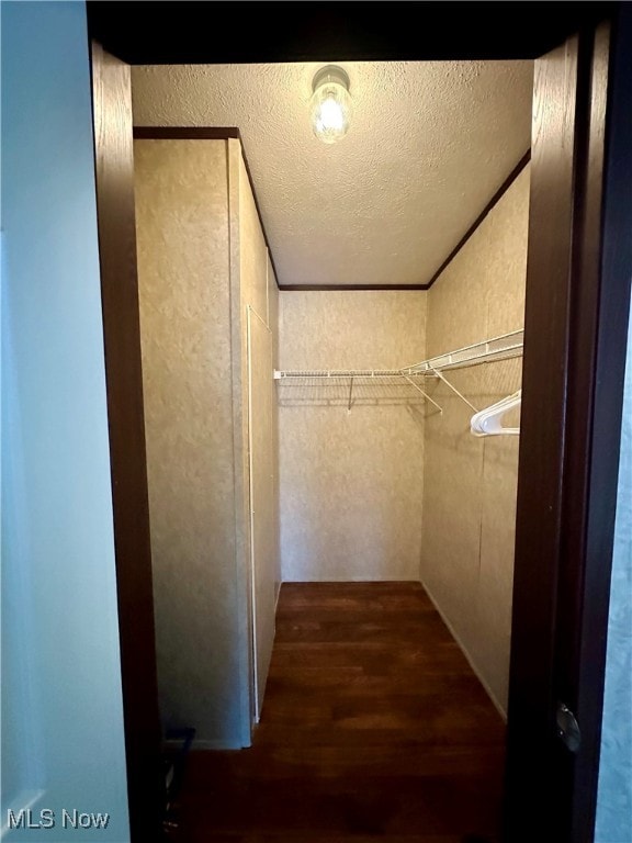 walk in closet featuring dark hardwood / wood-style floors