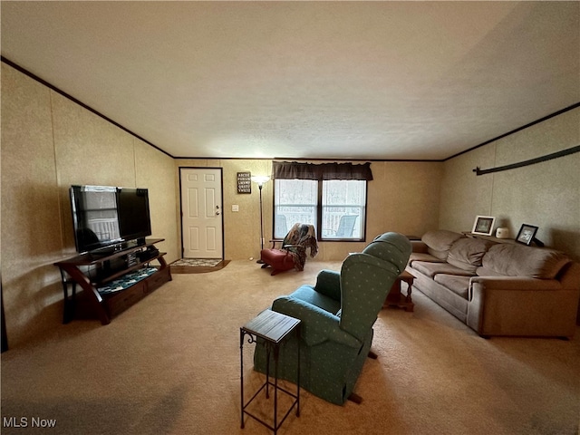 living room featuring crown molding, carpet floors, and a textured ceiling