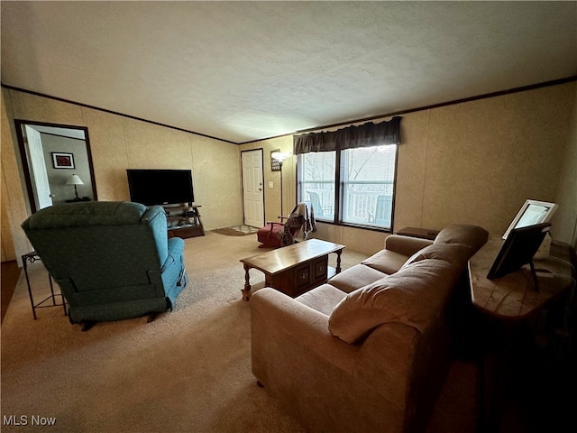 living room featuring a textured ceiling and light carpet