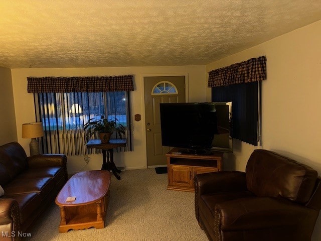 living room with carpet floors and a textured ceiling