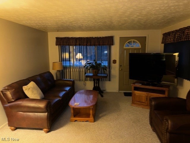 living room featuring carpet and a textured ceiling