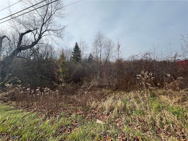 4421 N Myers Rd, Geneva OH, 44041 land for sale