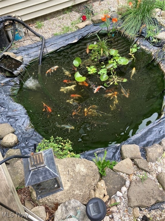 details with a garden pond