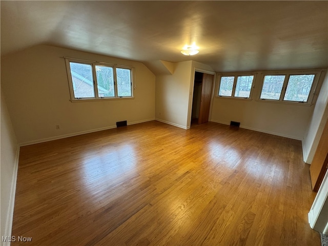 additional living space featuring light hardwood / wood-style flooring, a wealth of natural light, and vaulted ceiling