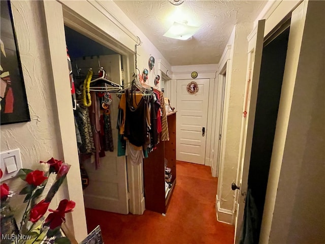 corridor with carpet floors and a textured ceiling