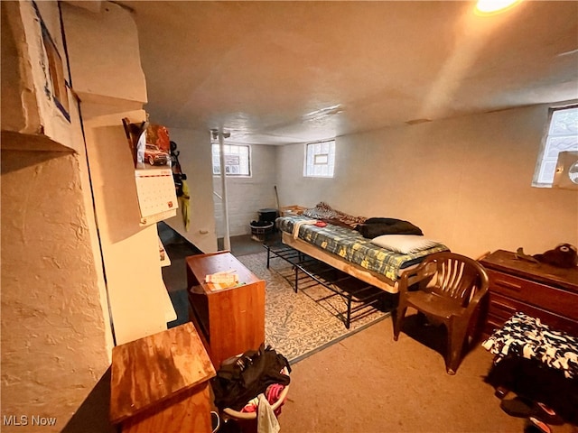 bedroom featuring multiple windows