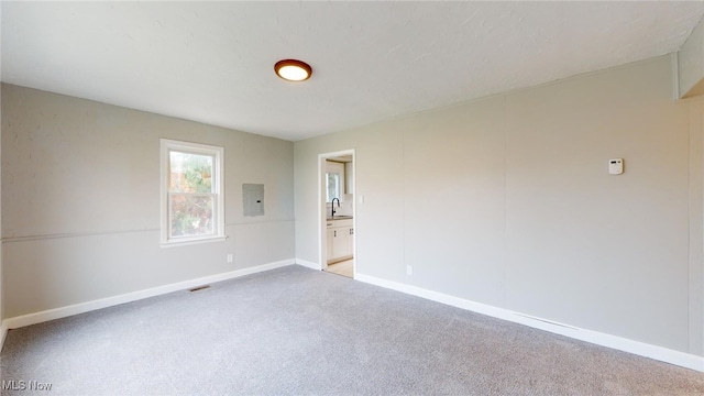 empty room with sink, light carpet, and electric panel