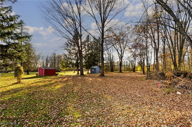 view of yard with a storage shed