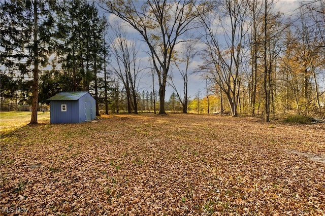 view of yard featuring a storage unit