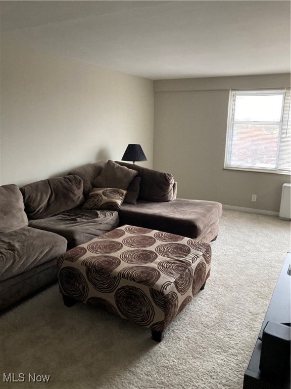 view of carpeted living room