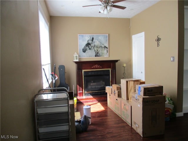 living room featuring ceiling fan and dark wood-type flooring