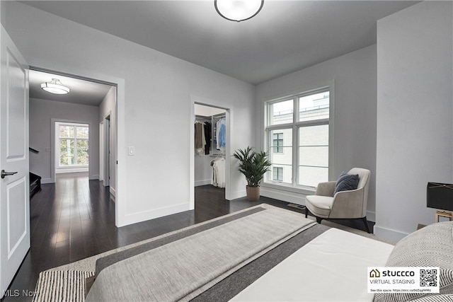 bedroom with a walk in closet, a closet, and dark wood-type flooring