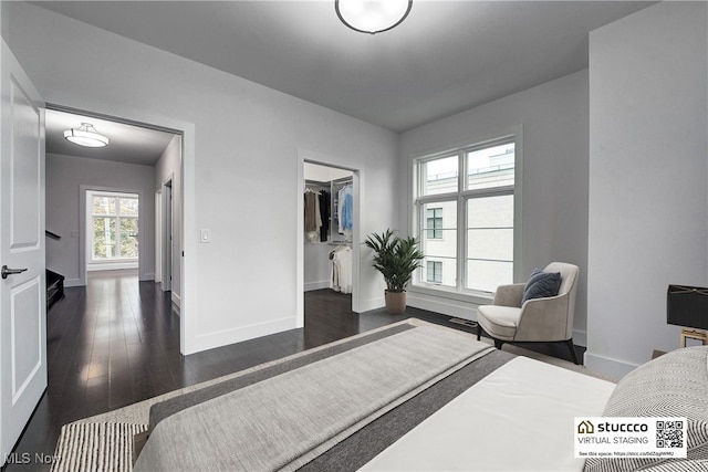 bedroom with a walk in closet, dark wood-type flooring, and baseboards