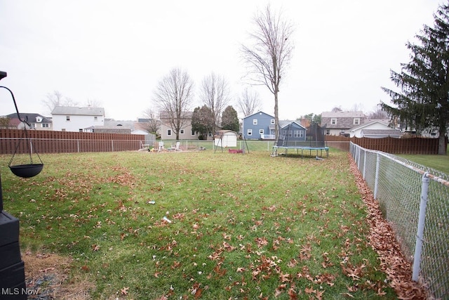 view of yard with a storage shed and a trampoline