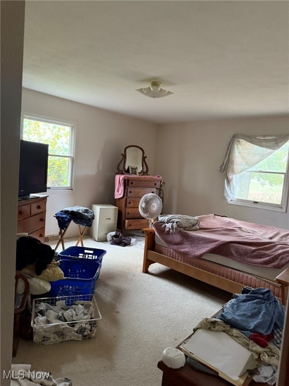 bedroom with carpet floors