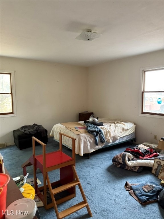 bedroom featuring carpet flooring and multiple windows