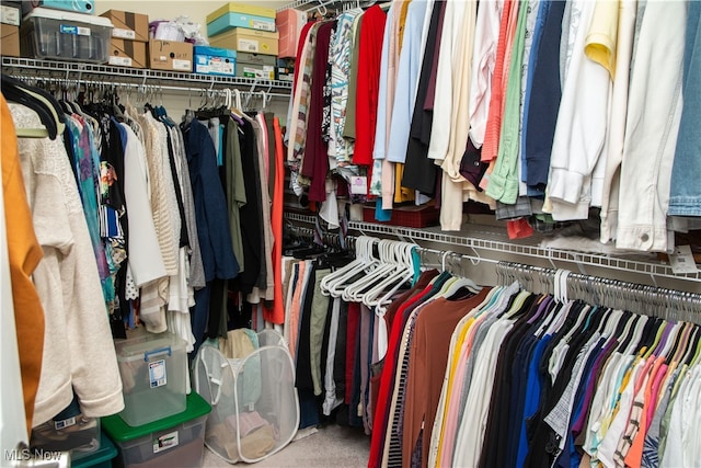 walk in closet featuring carpet flooring